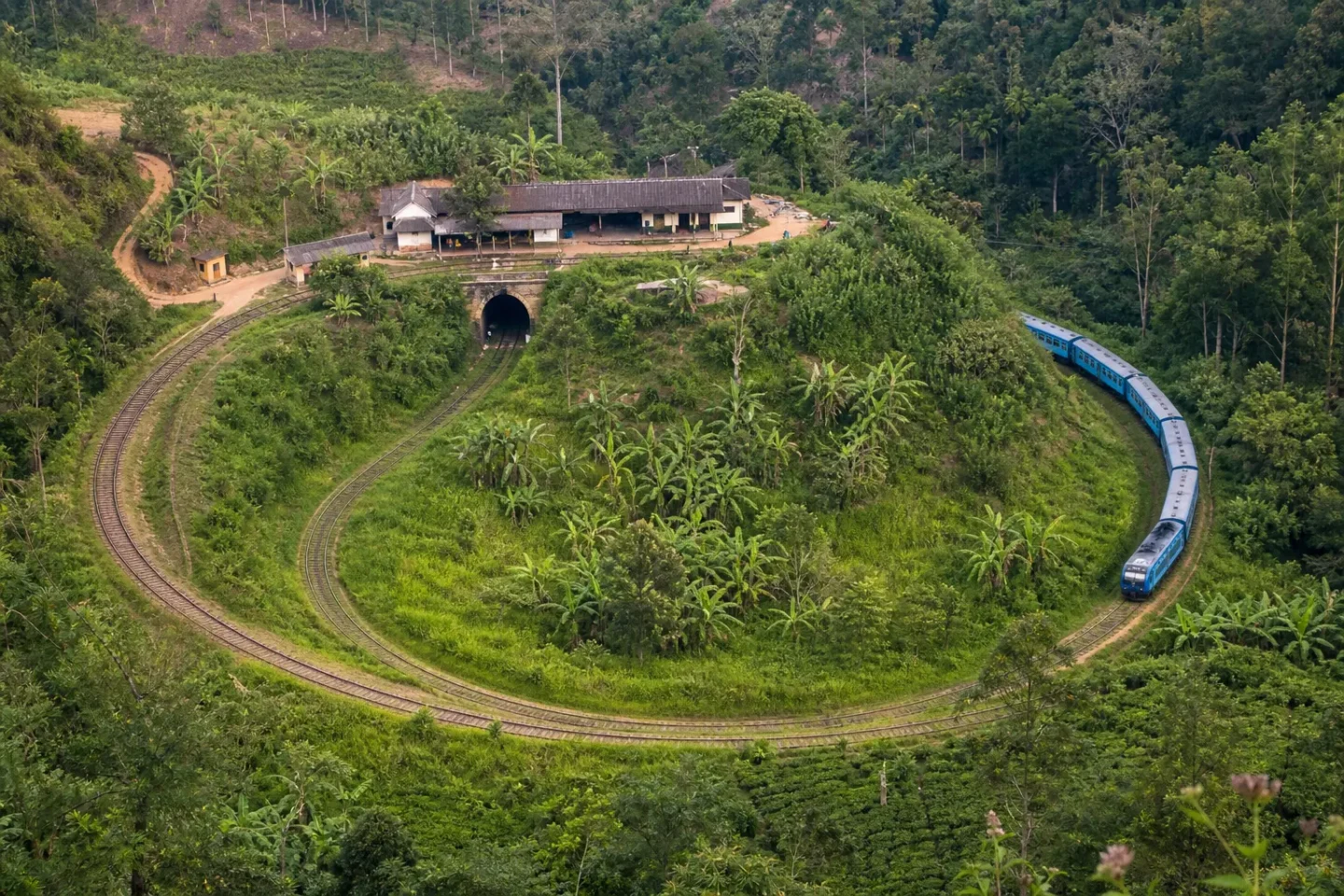 AI-generated illustration of the railway looping beneath Demodara station