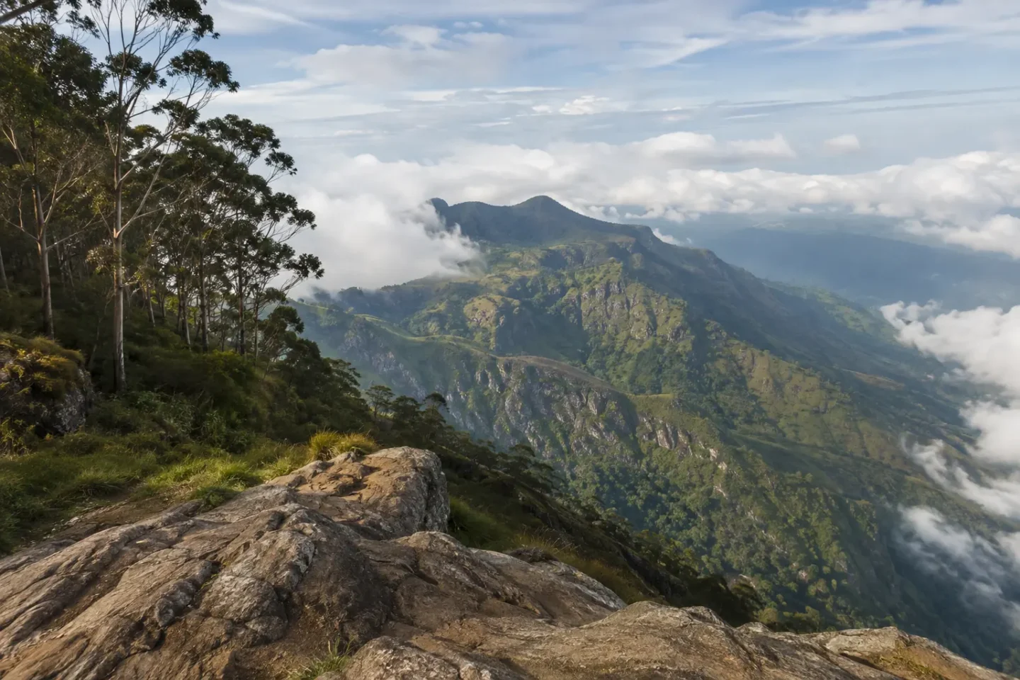 AI-generated illustration of the broad mountain view from Ella Rock
